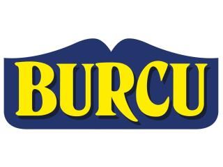 Sponsor Image