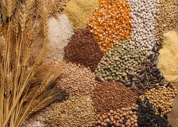 a-selection-of-grains.webp