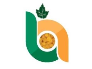 Sponsor Image