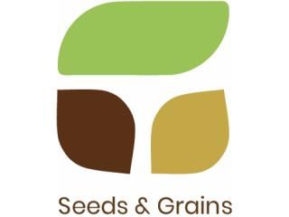 Sponsor Image