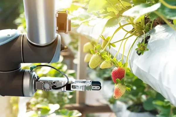 greenhouse-automation.webp