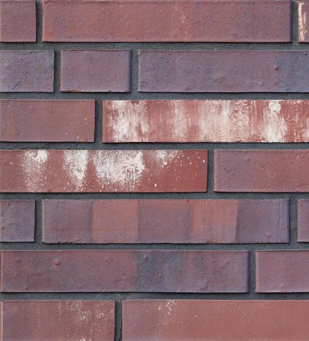 img25_262b08e989.webp