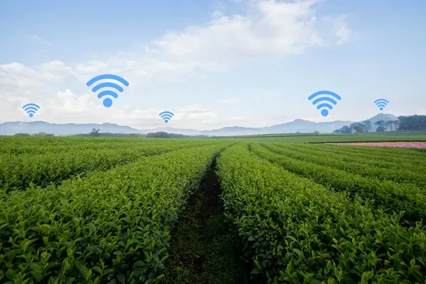 internet-of-things-agriculture.webp