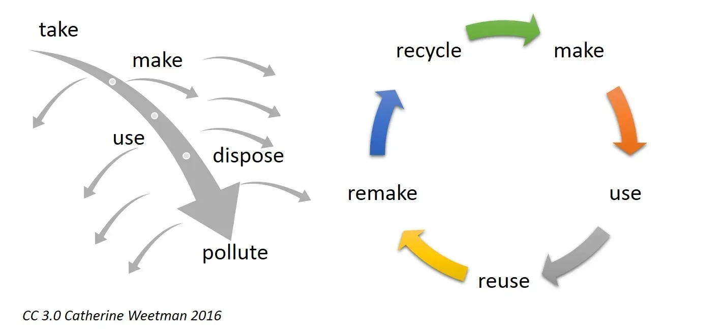 linear_versus_circular.webp