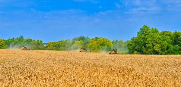 russian-combines-harvesting-wheat-in-a-field.webp