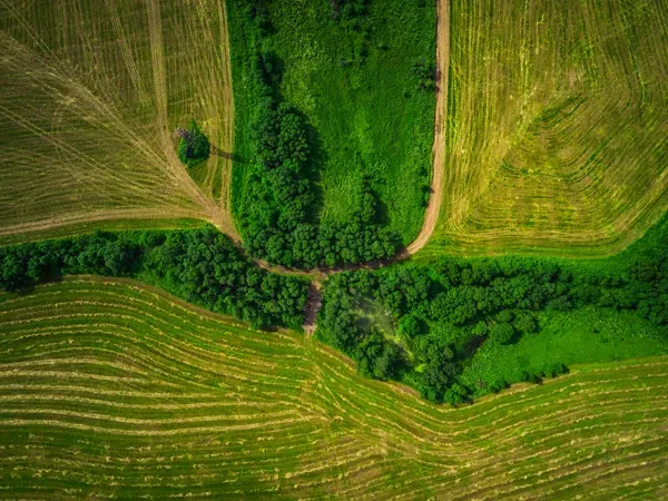 russian-organic-crops-from-the-sky.webp