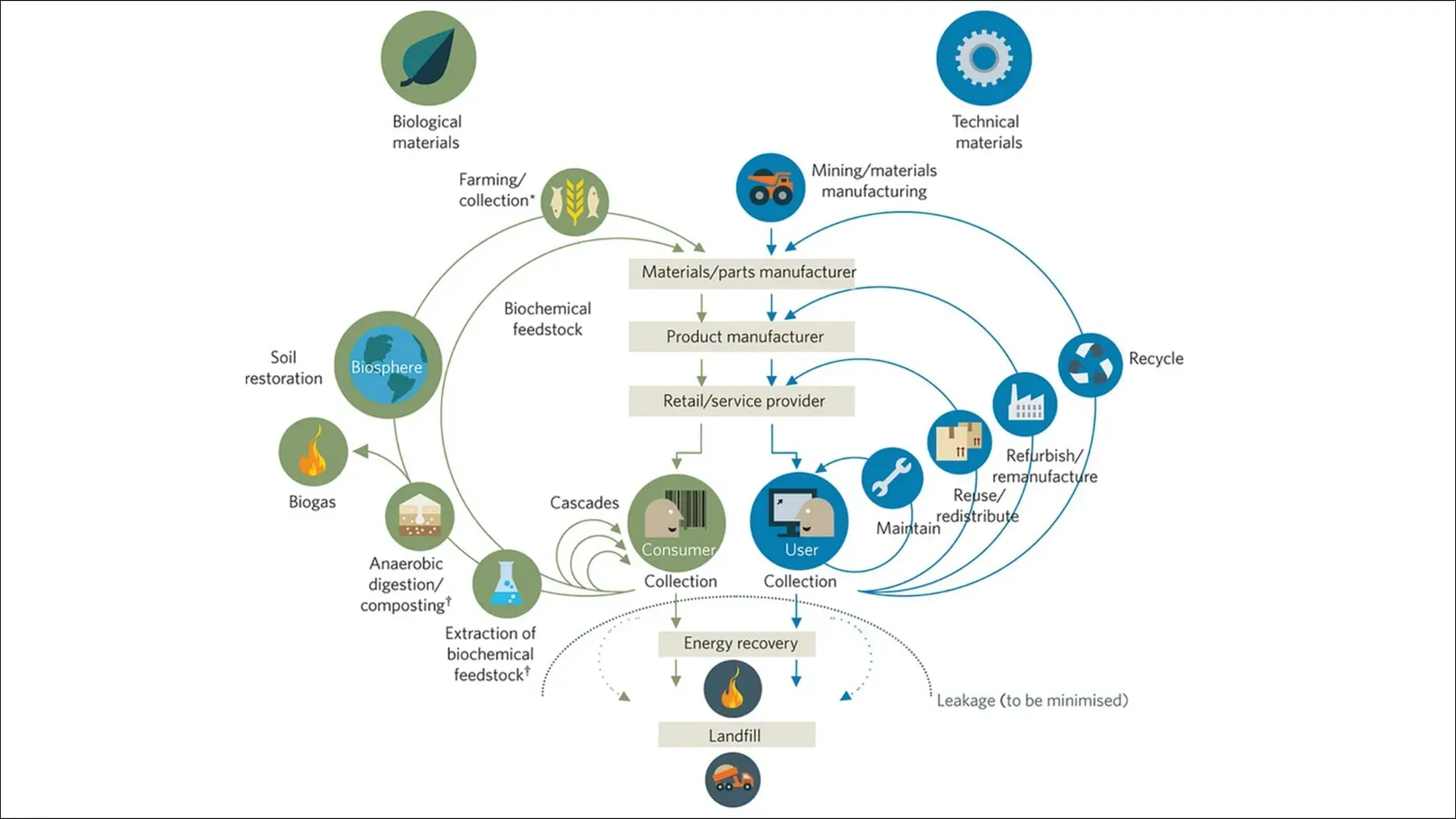 the-circular-economy-concept.webp